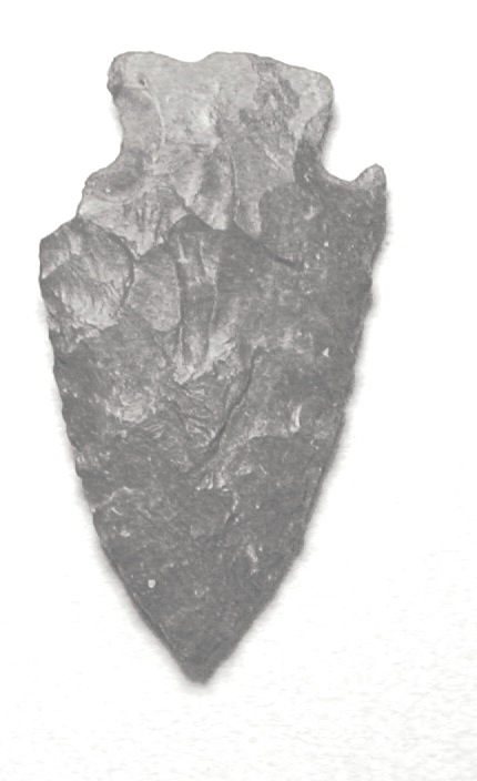 A close-up of a stone tool Description automatically generated