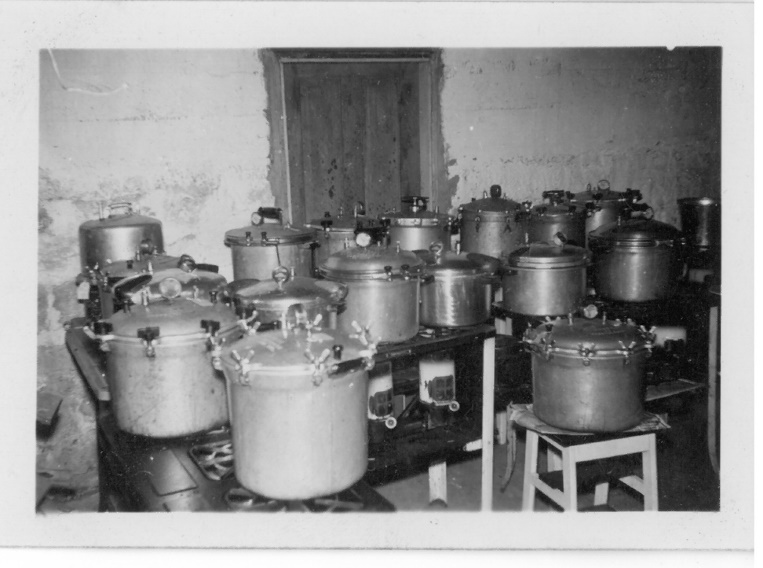 C:\Users\user\Pictures\Antique canning\5 Pressure cookers on Kerosine stoves.jpg