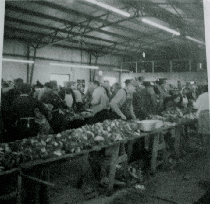 C:\Users\user\Pictures\Antique canning\Cutting meat in Epp garage, Elbing (3).png